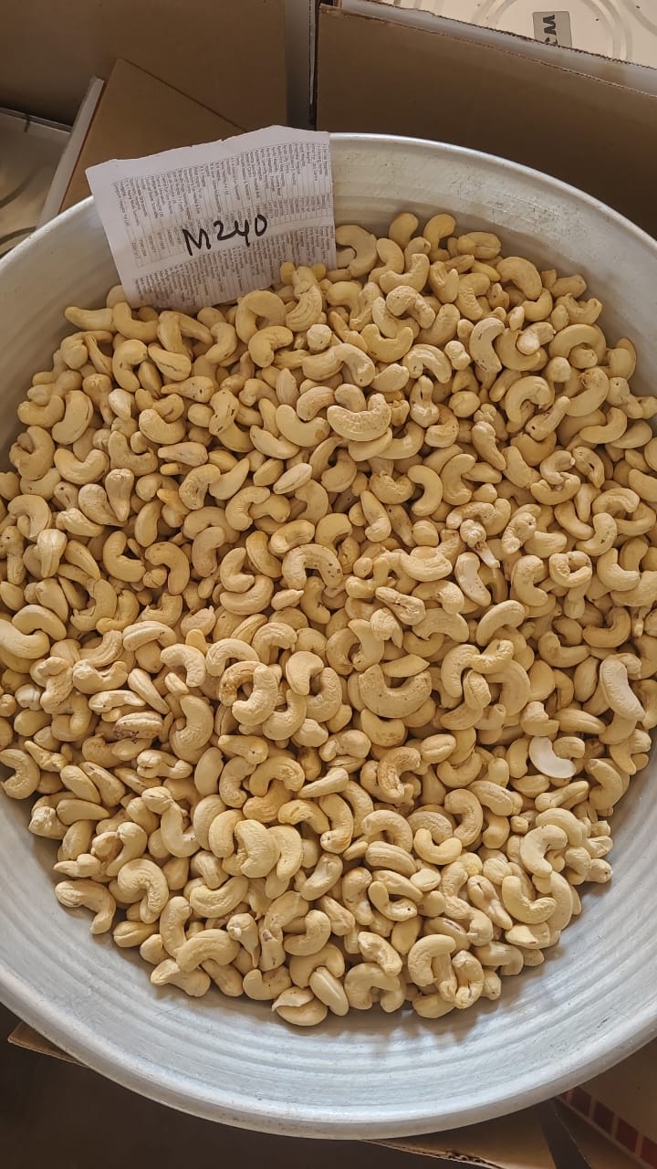 M240 Cashew Nut