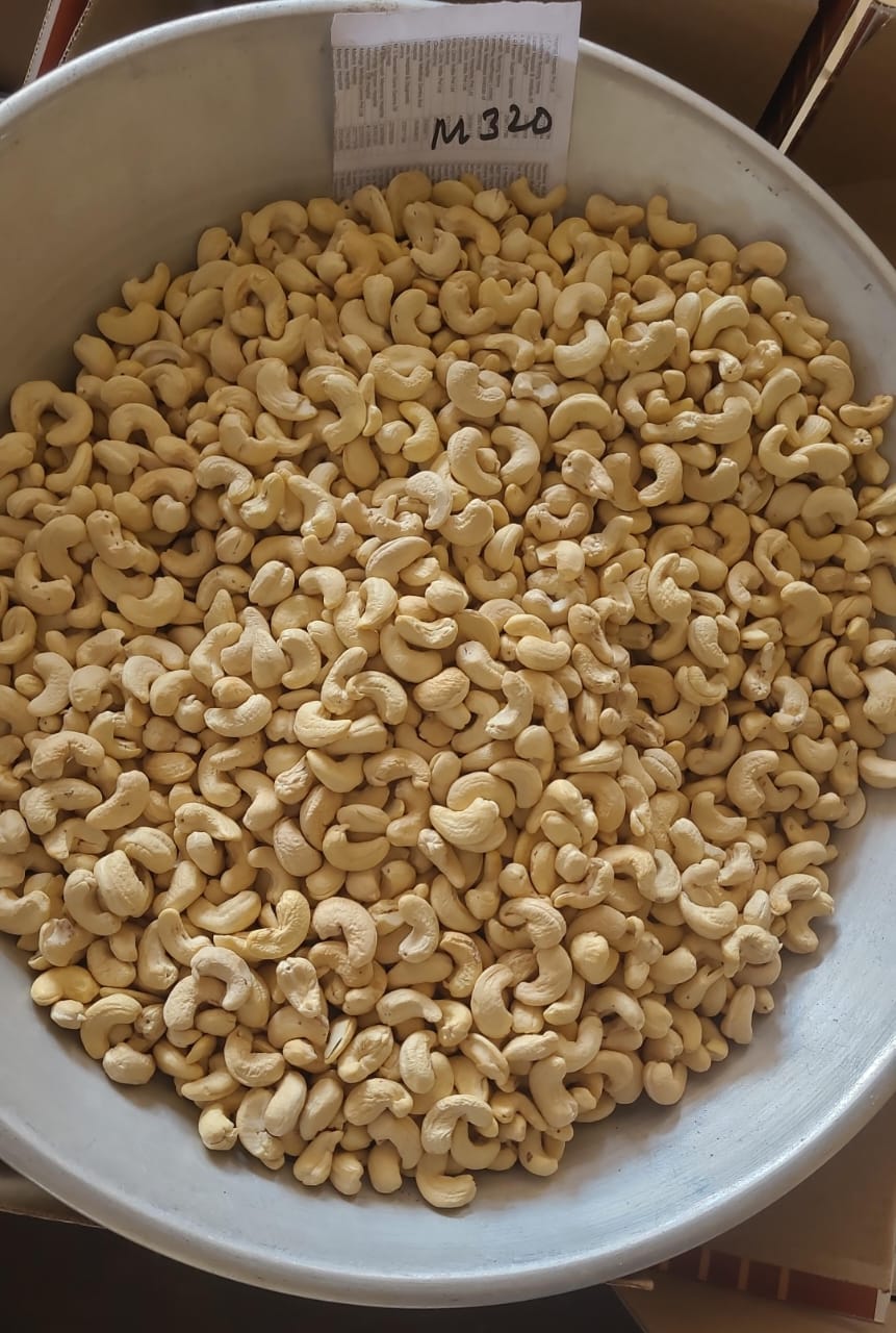 M320 Cashew Nut