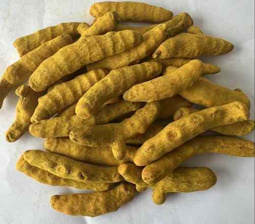 Turmeric Finger