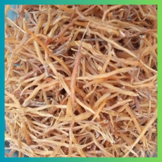 Yellow Shatavari Root