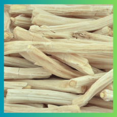 White Shatavari Root