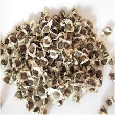 Moringa Seed