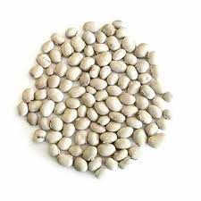 White Kaunch Seed