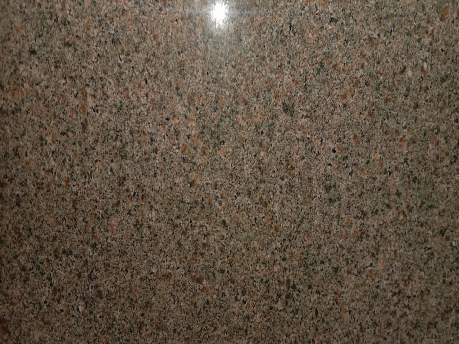 Z Brown Granite