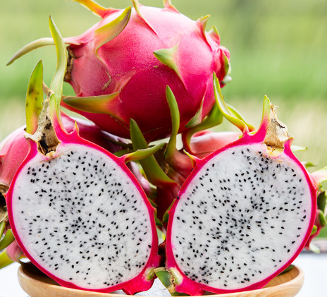 Dragon Fruit