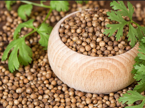 Coriander Seeds