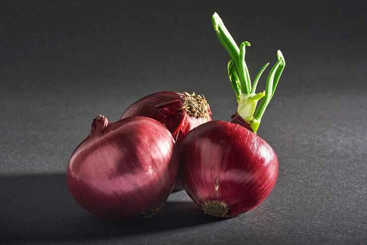 Fresh Red Onion