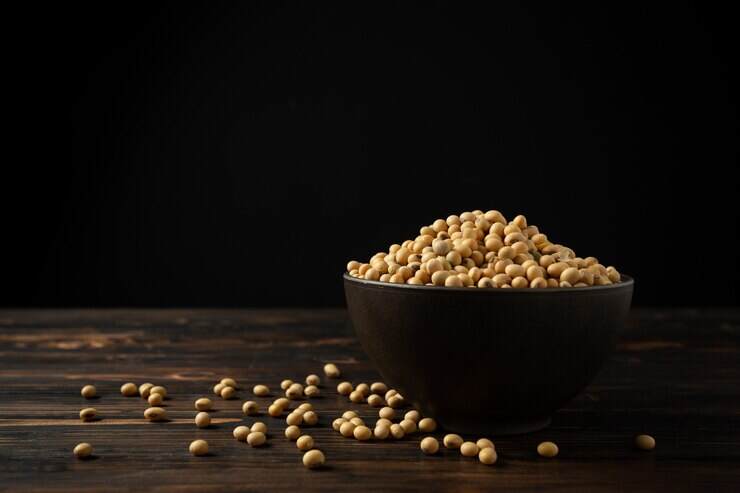 Soya Bean Seeds