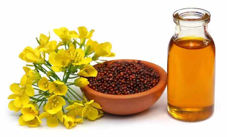 Musturd Oil