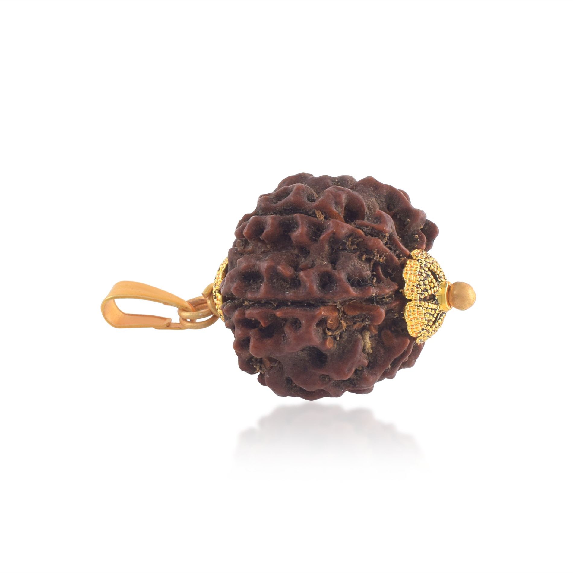 6 Mukhi Nepali Rudraksha