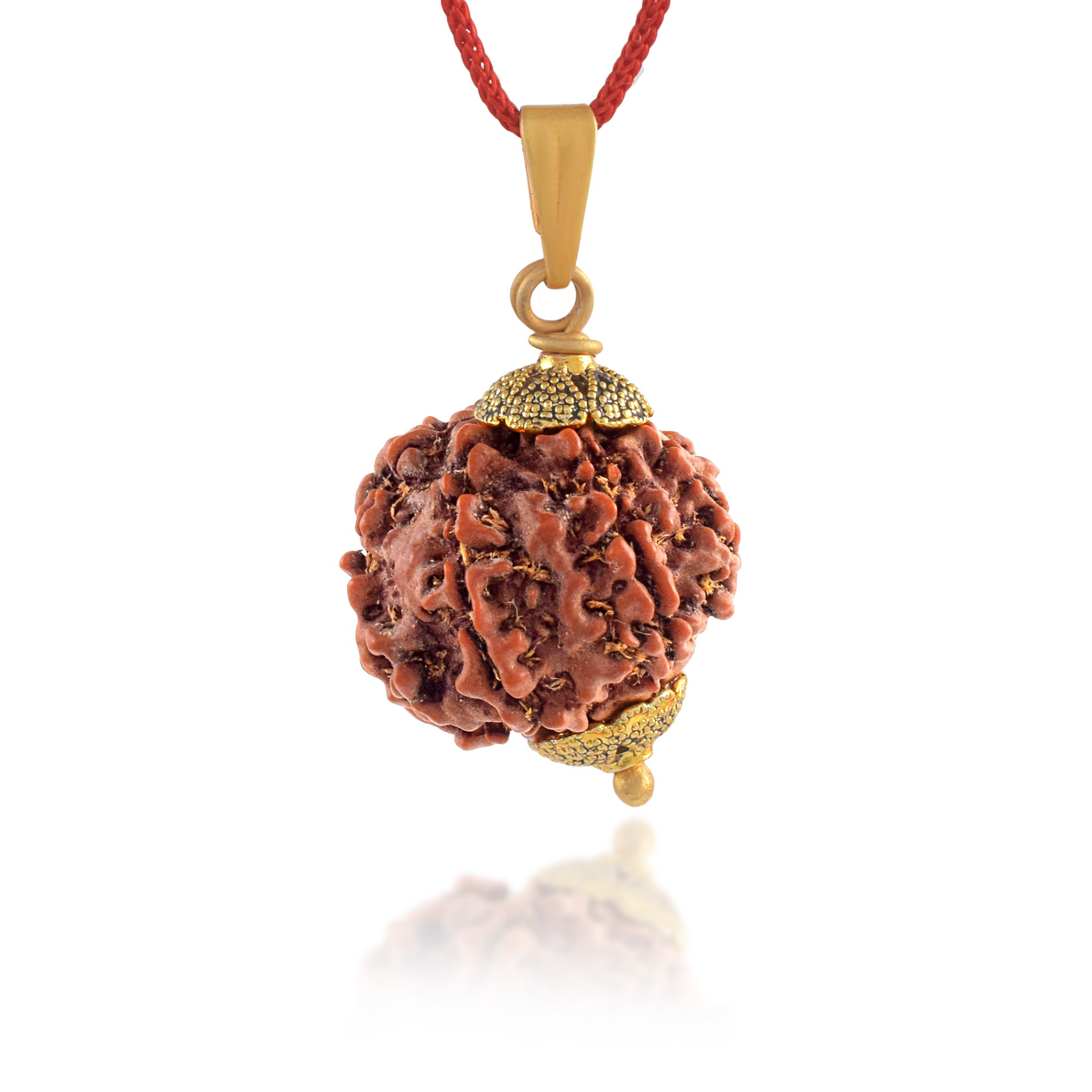 7 Mukhi Nepali Rudraksha