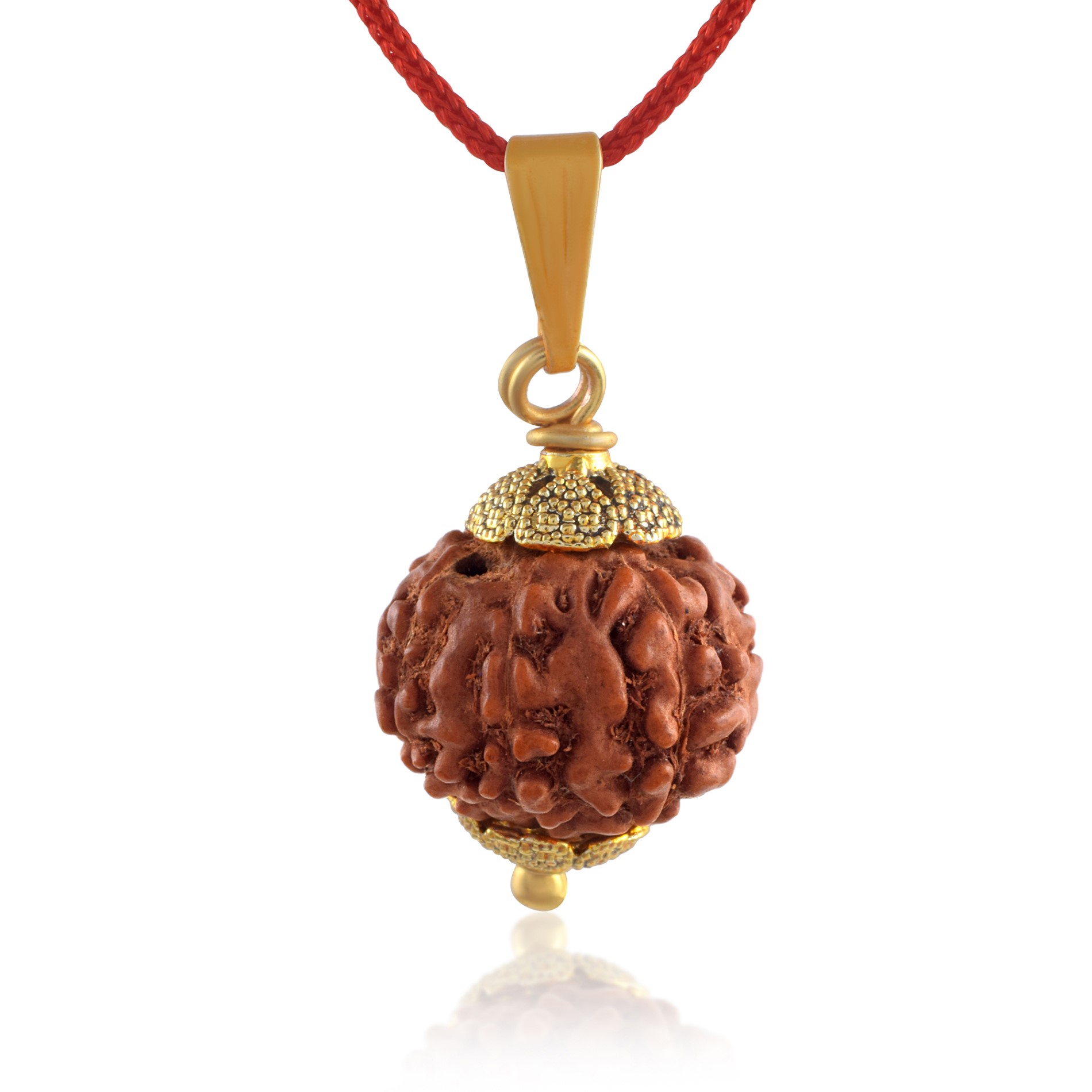 10 Mukhi Nepali Rudraksha