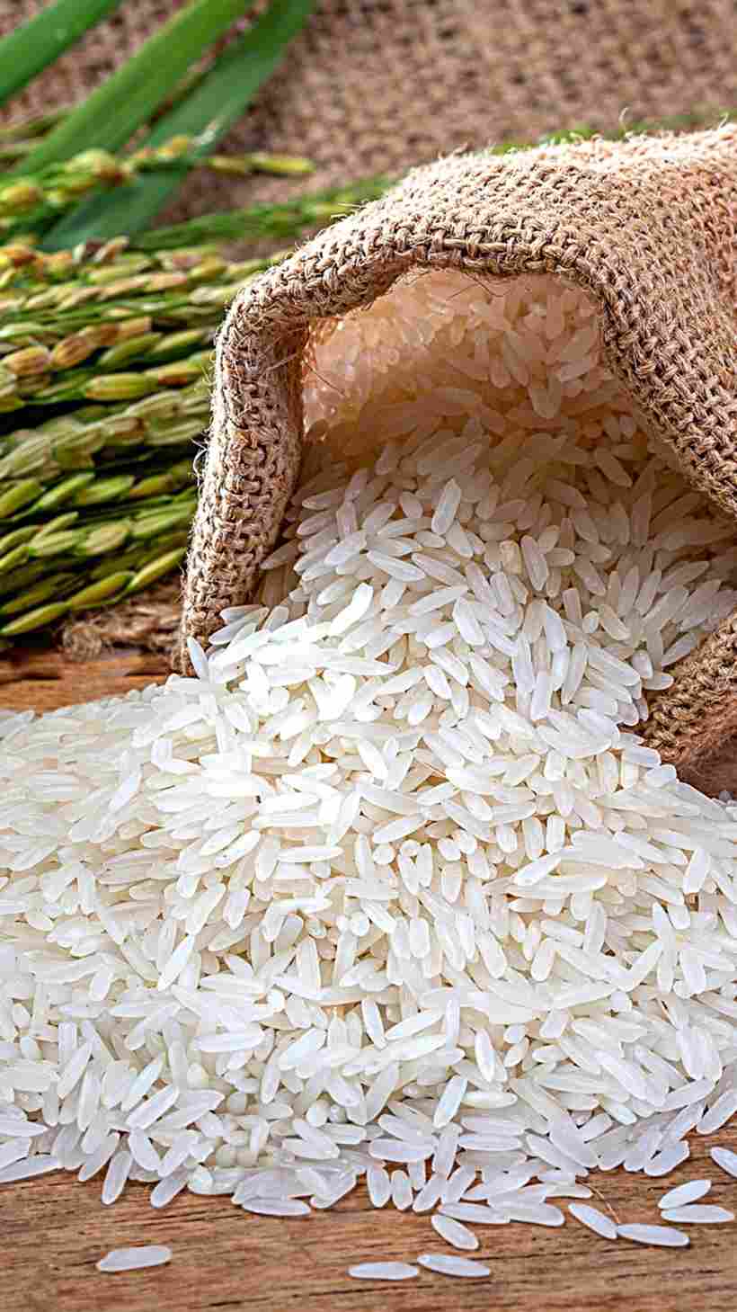 Basmati Rice 