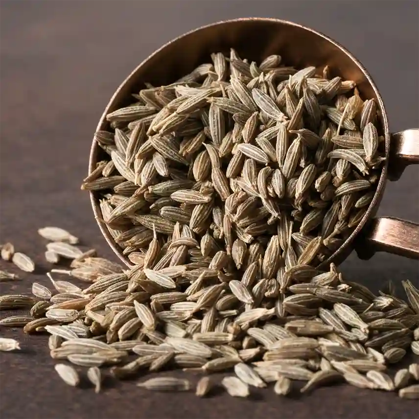 Cumin Seeds