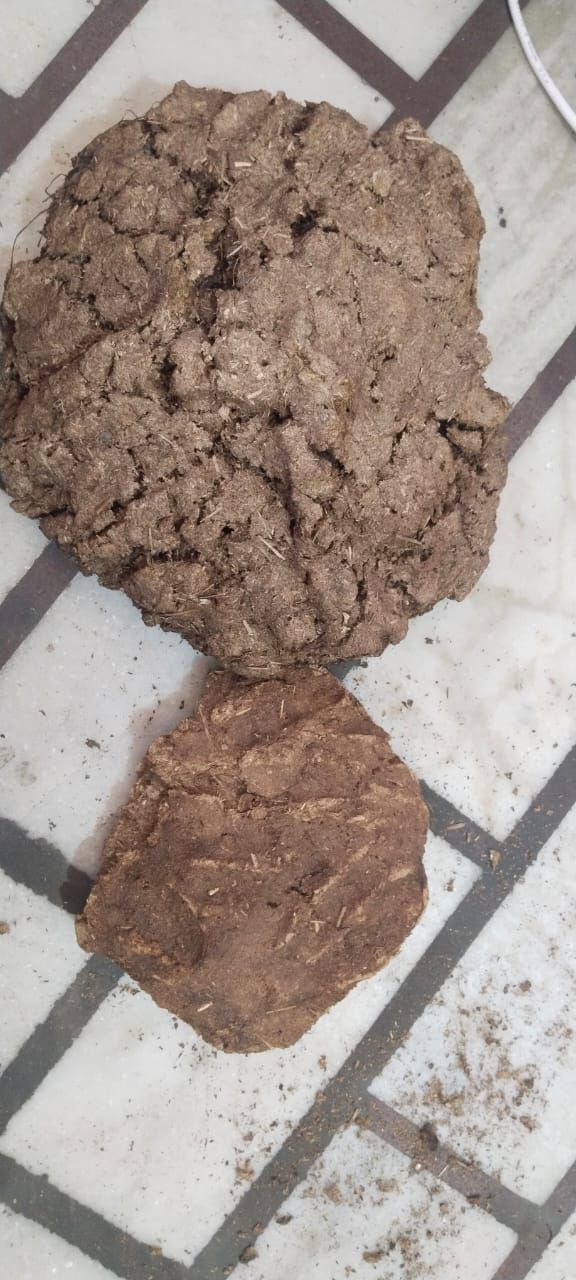 Cow Dung
