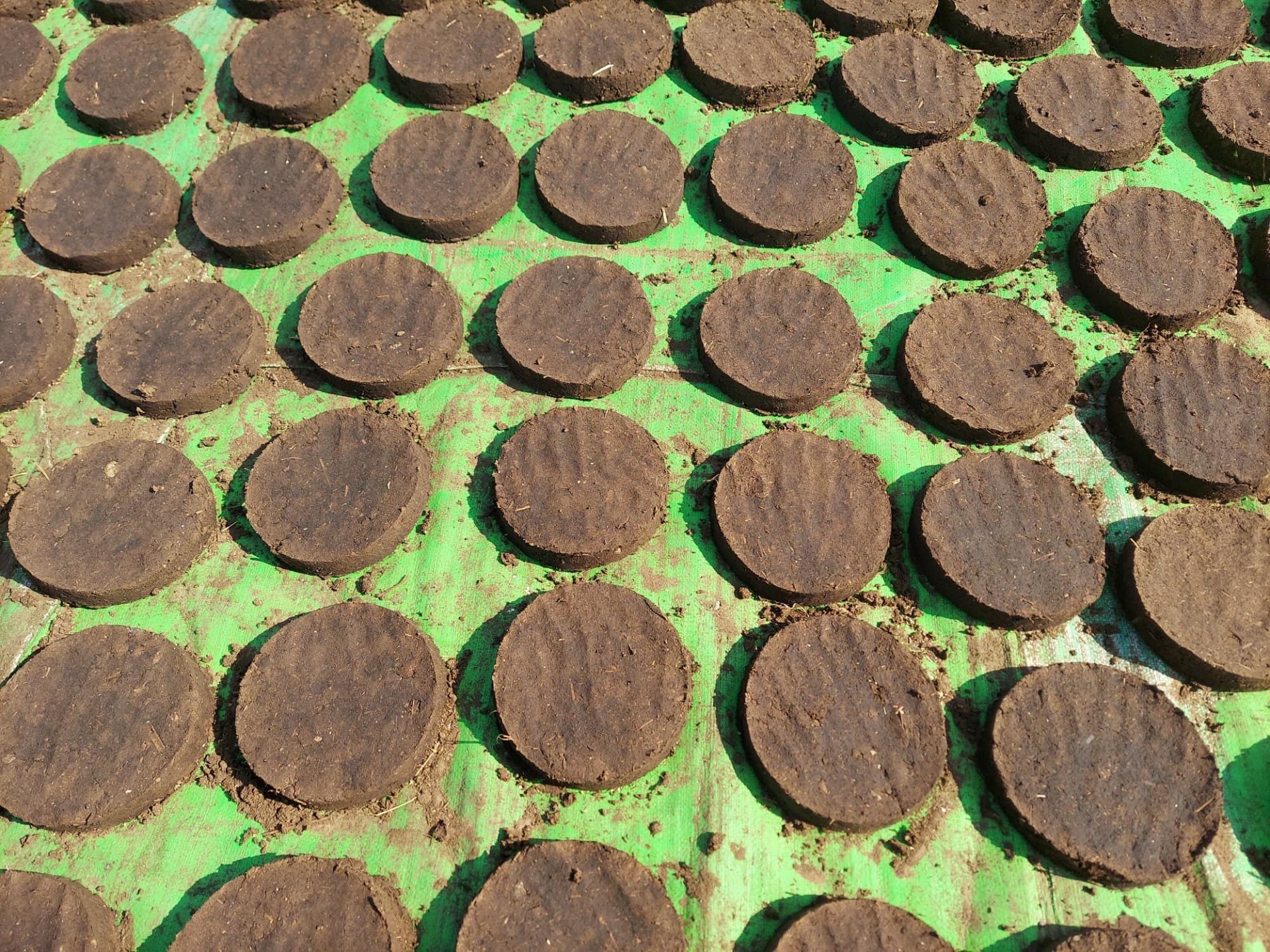 Cow Dung Cake
