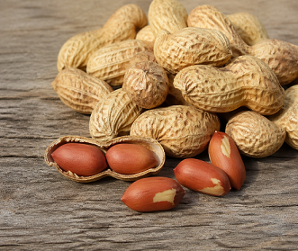 GROUNDNUT