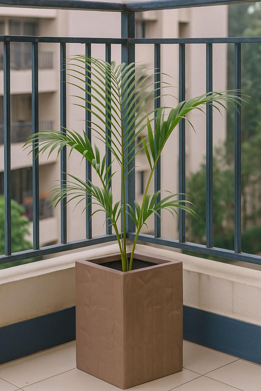 FIBER GLASS PLANTER