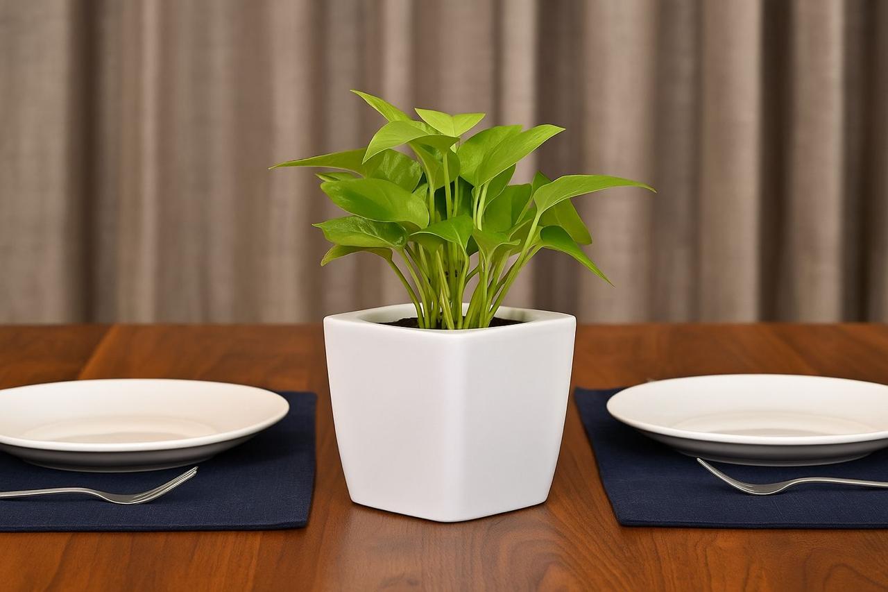 FIBER GLASS PLANTER