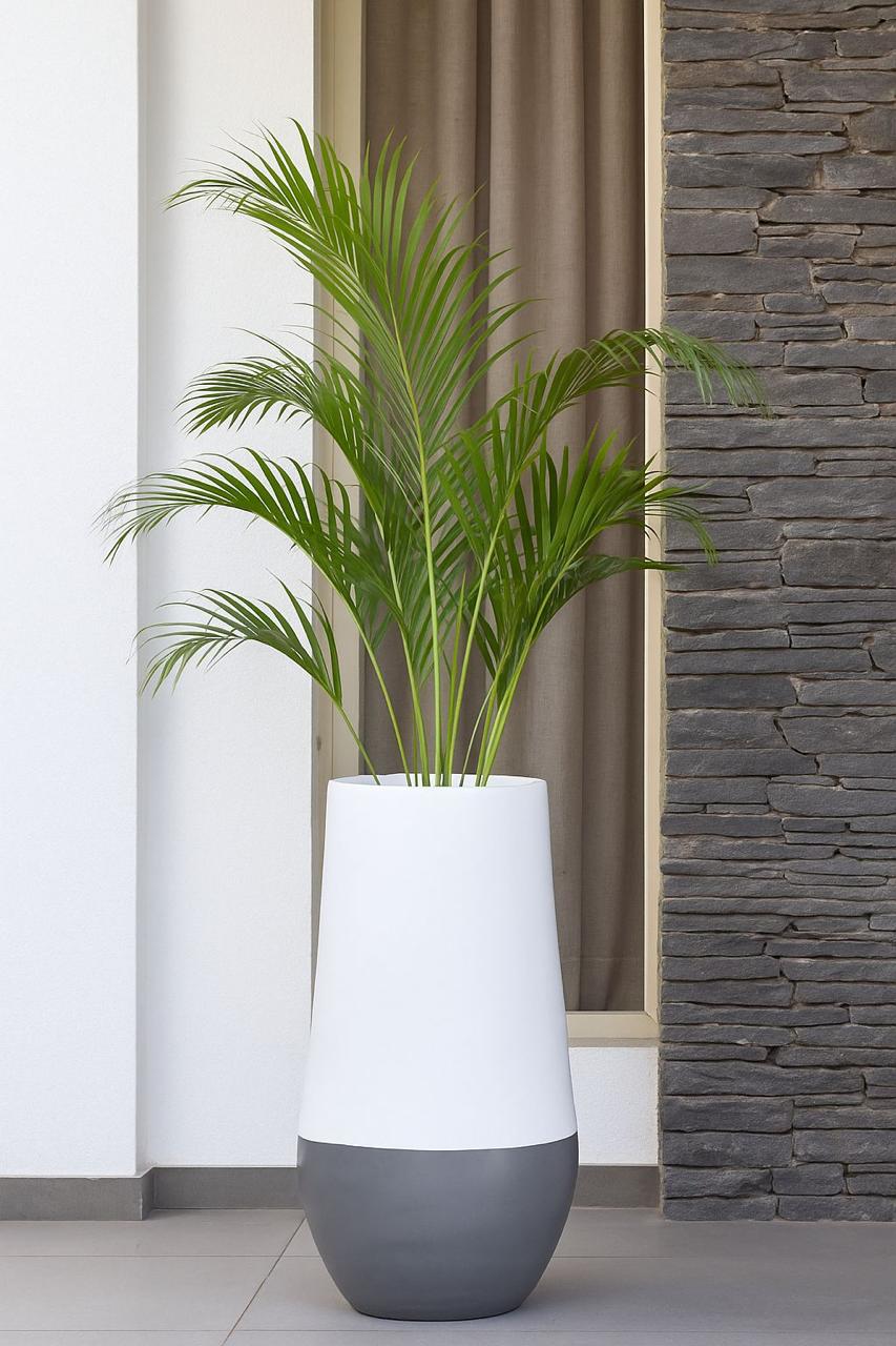FIBER GLASS PLANTER