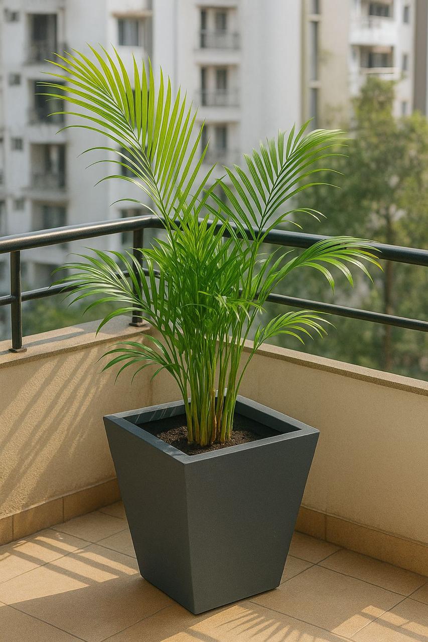 FIBER GLASS PLANTER