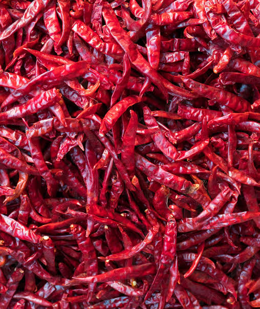 Red Chilli