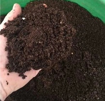 Cow Dung Manure 