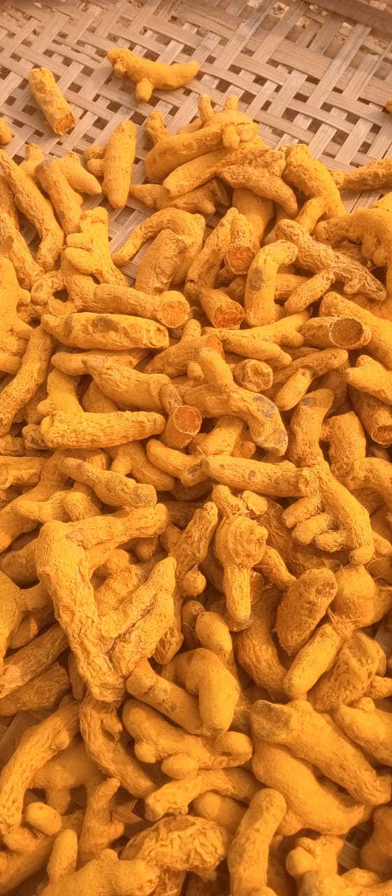 Turmeric Finger