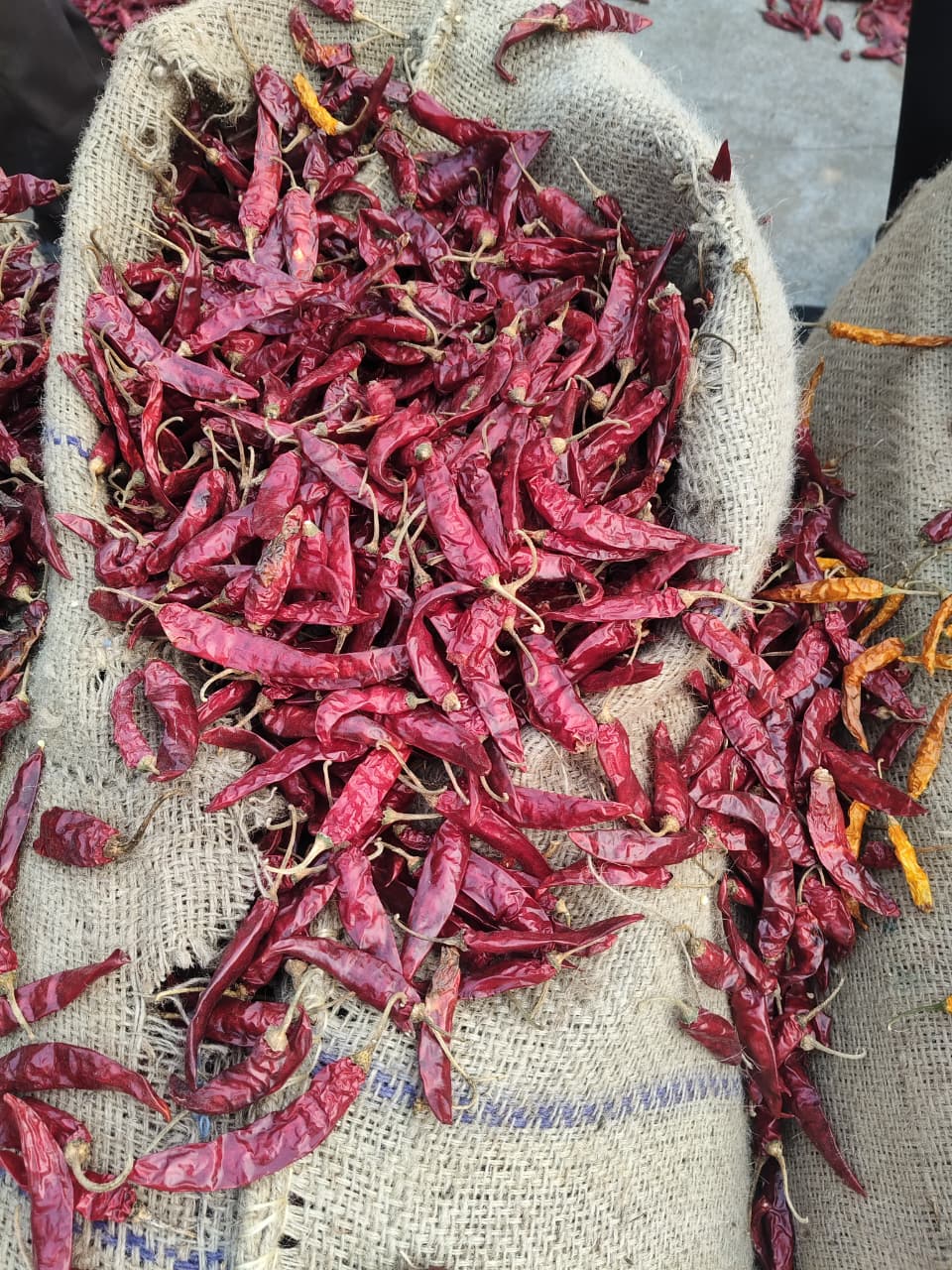  Dry Red Chilli 