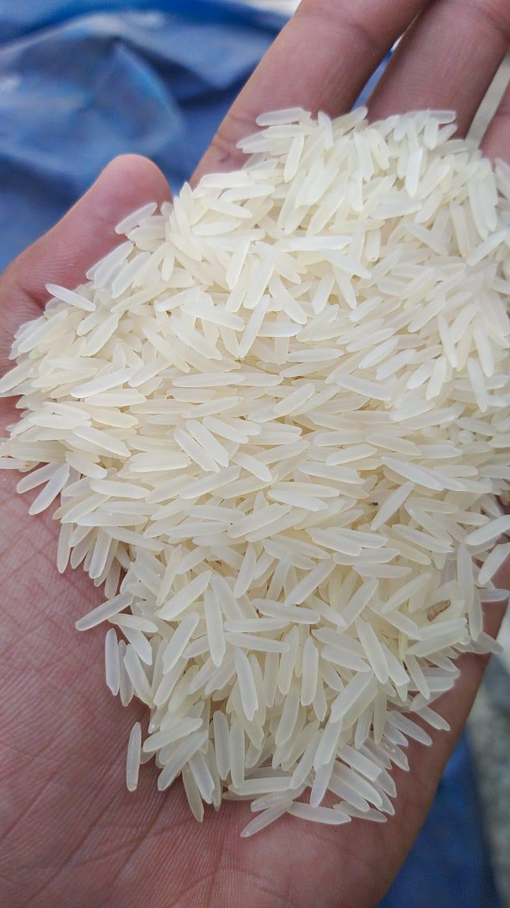 Rice