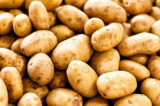 Fresh Potato