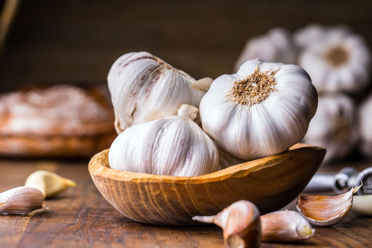 Garlic 