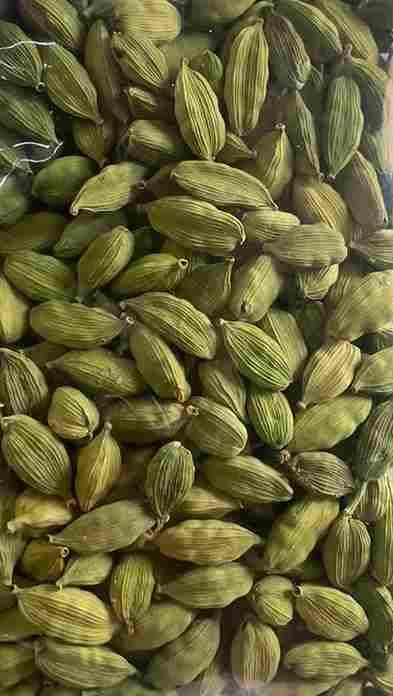 Cardamom