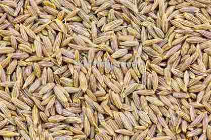 Cumin