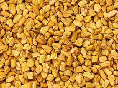 FENUGREEK