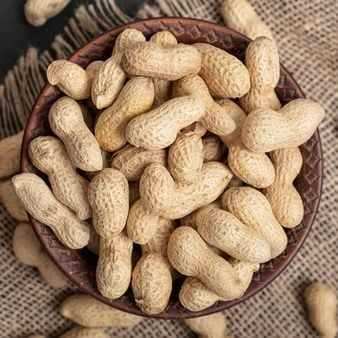 Groundnut