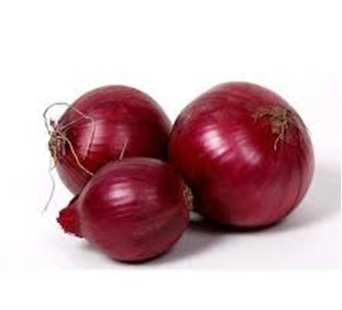 Onion
