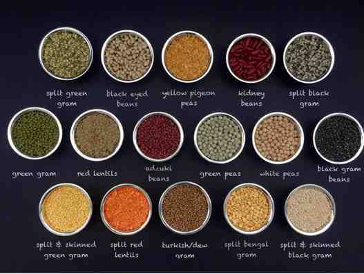 Pulses