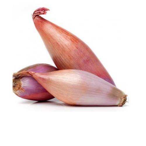 Shallots